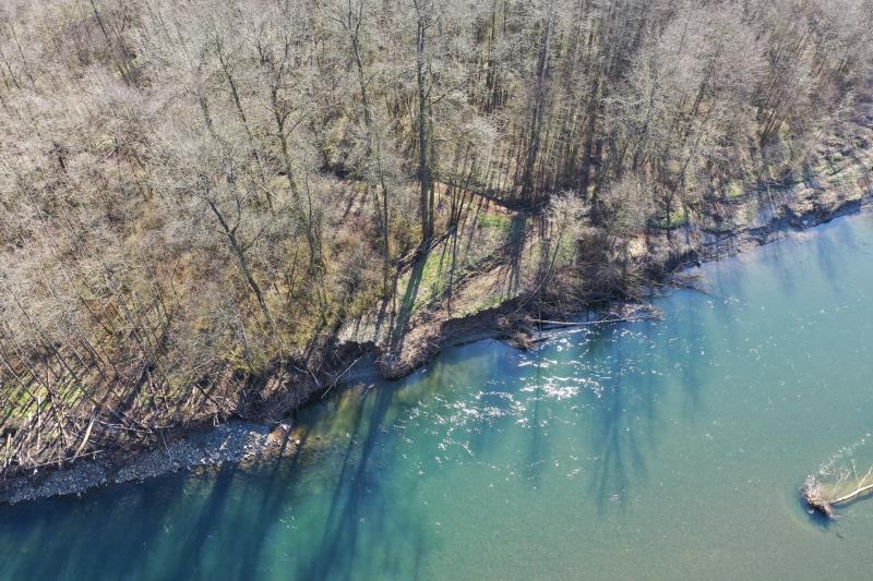 Click on right facing triangle above to advance through 2/27/2020 WDFW Lower Satsop drone flight picture library.