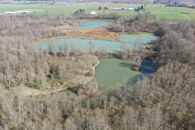 Click on right facing triangle above to advance through 2/27/2020 WDFW Lower Satsop drone flight picture library.