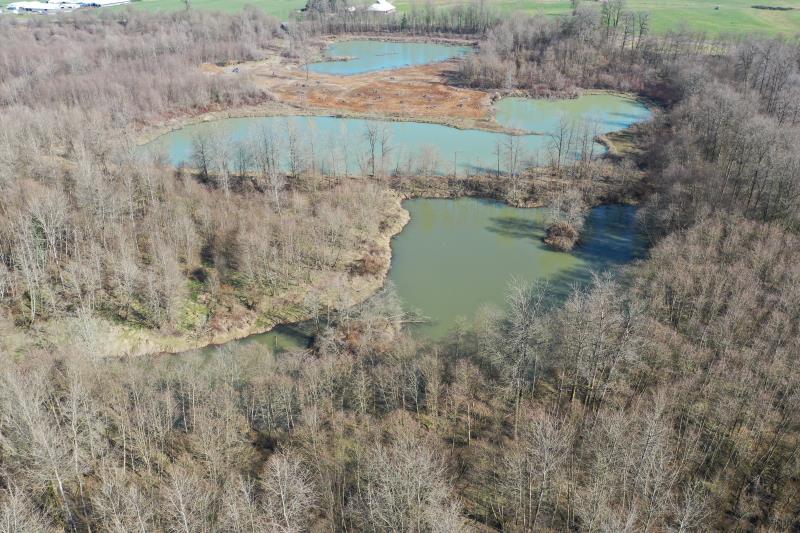 Click on right facing triangle above to advance through 2/27/2020 WDFW Lower Satsop drone flight picture library.