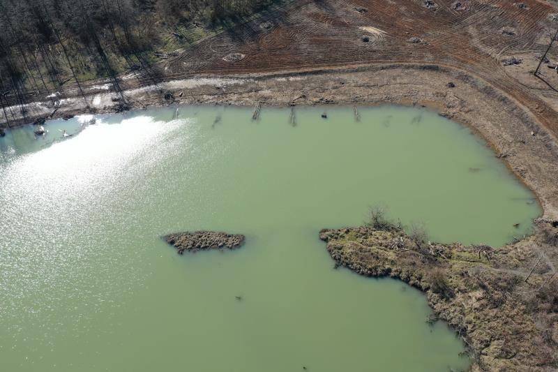 Click on right facing triangle above to advance through 2/27/2020 WDFW Lower Satsop drone flight picture library.