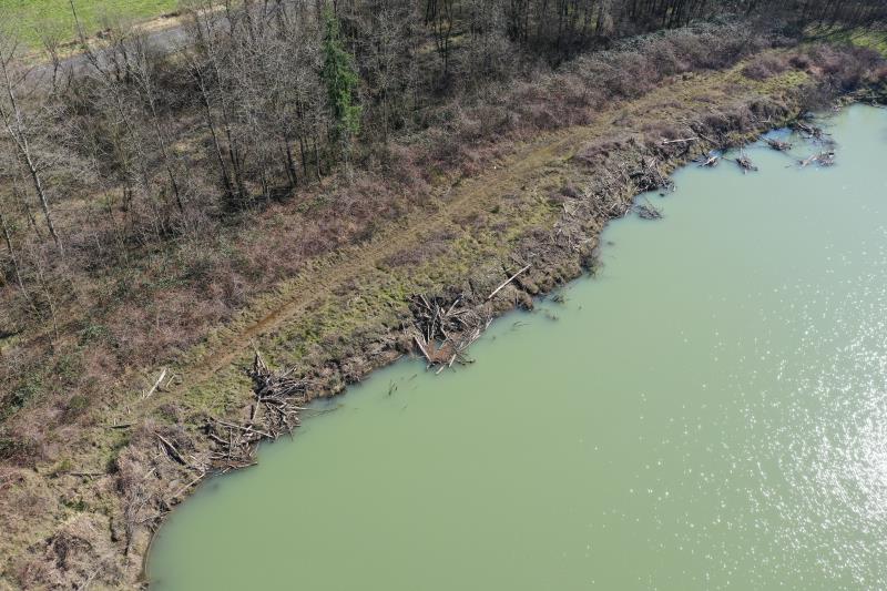 Click on right facing triangle above to advance through 2/27/2020 WDFW Lower Satsop drone flight picture library.