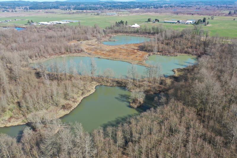 Click on right facing triangle above to advance through 2/27/2020 WDFW Lower Satsop drone flight picture library.