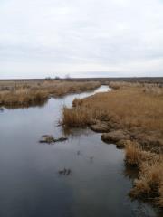 Lower Crab Creek 