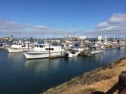 Westport Marina