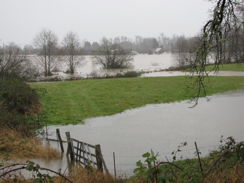 Source: GHC
http://www.co.grays-harbor.wa.us/GHCoHazardsMitigation/photo_gallery/photo_gallery.htm