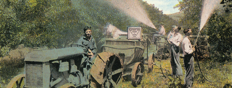 Lead Arsenate Spraying 1920s