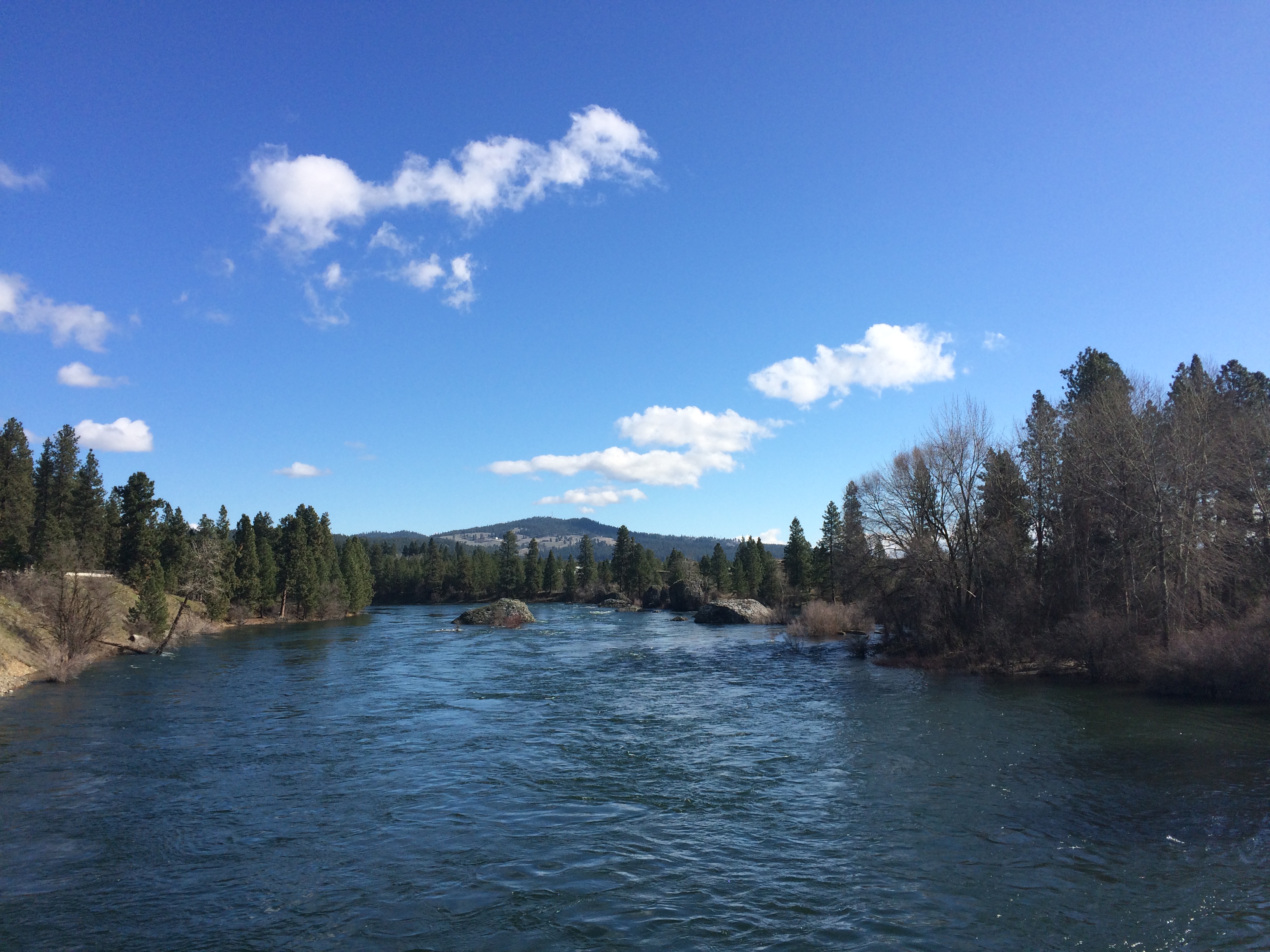 Looking downriver from Islands Lagoon in Spokane Valley