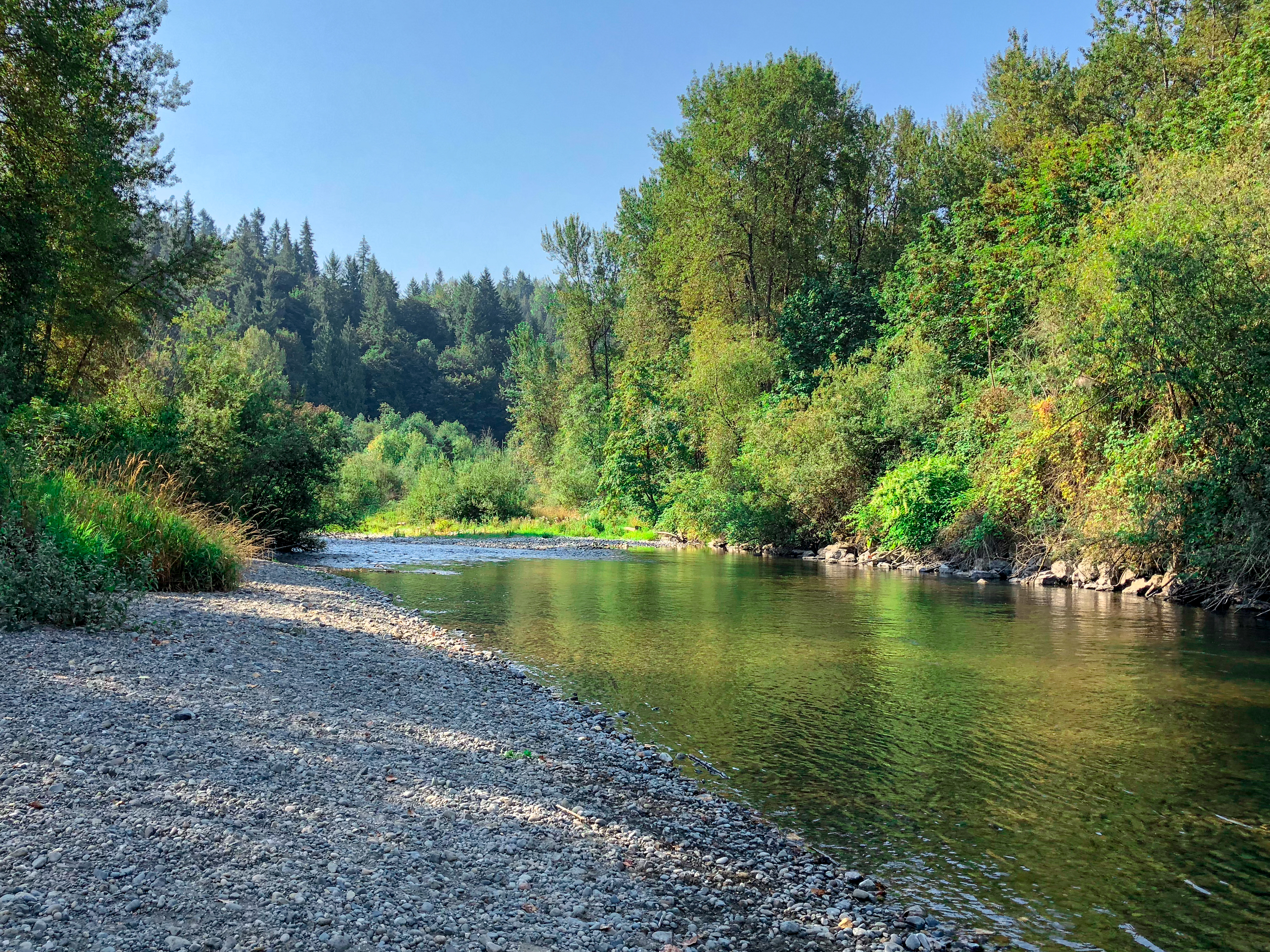 View of Cedar River from the river bank.