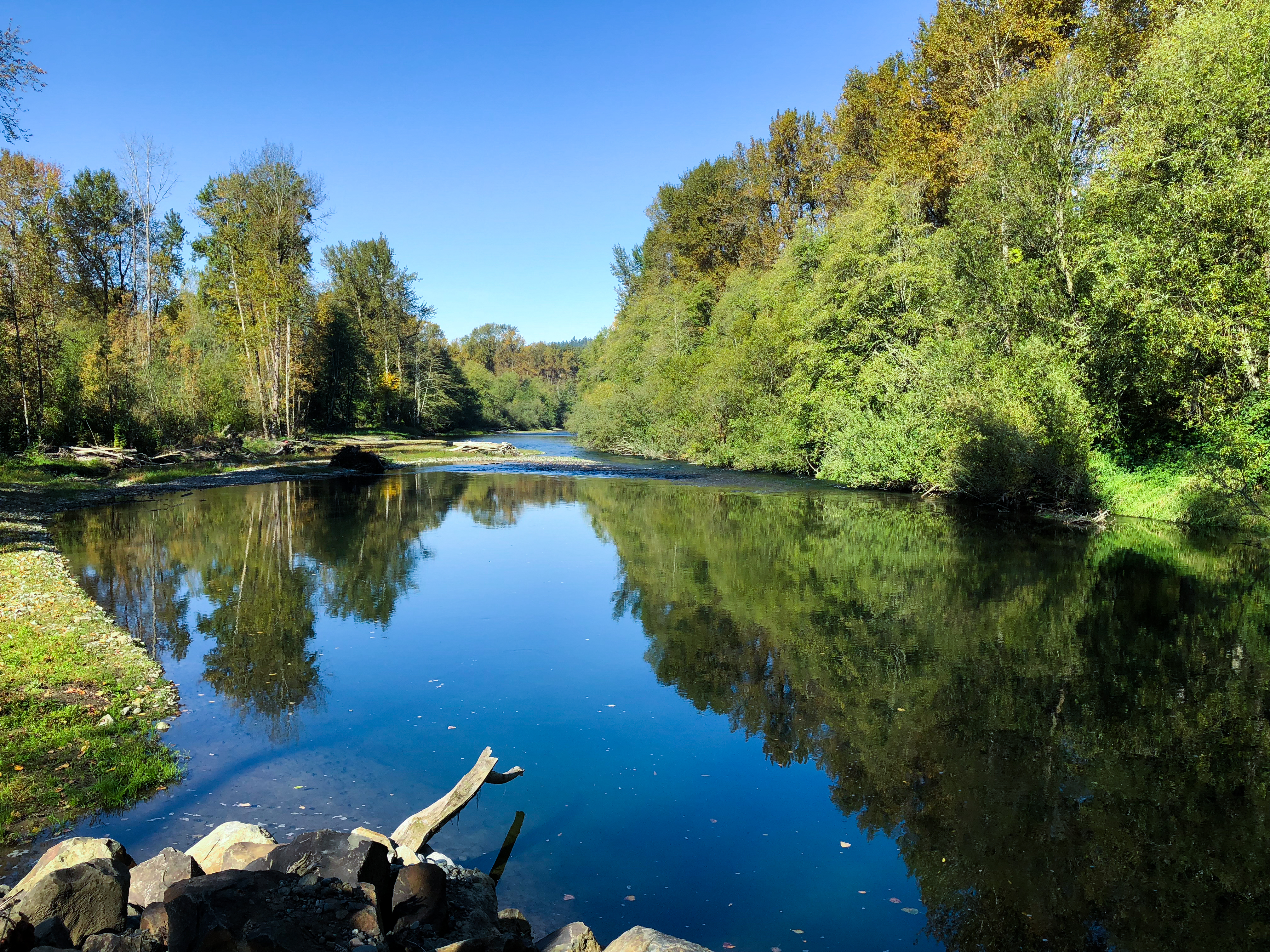 View of a river from the bank