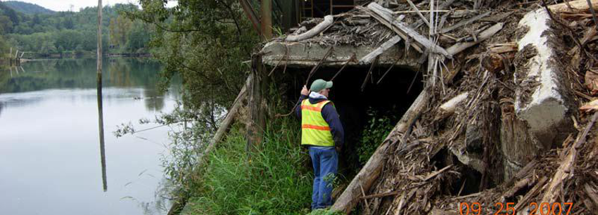 Montesano - Revetment to Protect Montesano Rd., Sewage Treatment Plant, Mary’s River Lumber Project